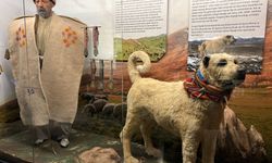 Sivas’ın hafızası; Şehir Müzesi