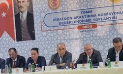Zirai don; Fındık'ta kayıp büyük