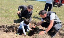 Sarıkamış’ta şehitler için dikilen fidanlar toprakla buluştu