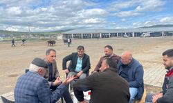 Kurban Bayramı Öncesi Kars Hayvan Pazarı'nda İl Müdürü Enver Aydın yetiştiricilerle buluştu
