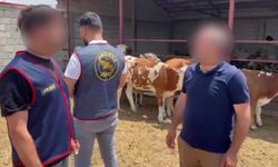 Kars’ta jandarmadan hayvan hırsızlarına operasyon: 5 gözaltı, 9 hayvan sahibine teslim edildi