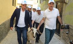Eyyübiye Belediyesi yetim ailelere kurbanlık dağıttı