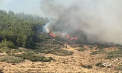 Tekirdağ’dan Çanakkale’ye sıçrayan orman yangınıyla mücadele