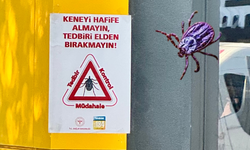 Sincan’da kene tedbirleri: Bakanlık uyarısı sokaklara taştı