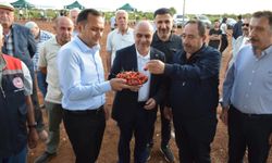 Mardin Ömerli'de doğa ve kültür buluştu