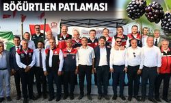Batman böğürtlen diyarı oldu