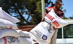 Antalya'da yem desteğiyle süt üretimine güçlü katkı