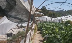 Kumluca'da hortum seraları vurdu: Çiftçiler zarar gördü