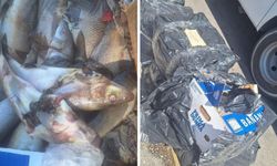 Antalya Otogarı’nda su ürünlerine denetim: 100 kg ürüne el konuldu