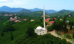 Tirebolu'da tarihi referandum: Abdullu Köyü kuruluyor!
