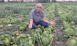 DP’li Atak: “Çiftçi üretiyor ama emeği tarlada kalıyor”