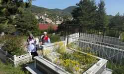 Ordu Büyükşehir kabir ziyareti öncesi vatandaşlara çiçek fidesi dağıttı