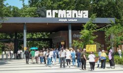 Doğaseverlerin bayram rotası: Ormanya ve Kuzuyayla