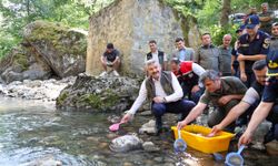 Artvin'de Hatila Vadisi Milli Parkı'ndaki dereye 5 bin alabalık yavrusu bırakıldı