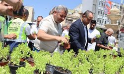 Mardin Midyat’ta fesleğen ve reyhan dağıtıldı