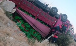 Domates yüklü kamyon dereye uçtu, sürücü ağır yaralı