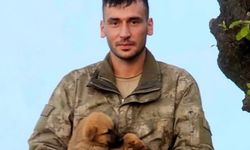Şehidin yetime sahip çıkma çabası yürekleri dağladı