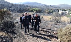 AFAD Başkanı Pehlivan, Çeşme'de yangın bölgesinde