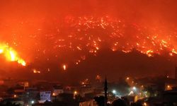 Türkiye dört bir yanında çıkan yangınlarla mücadele ediyor: Havadan ve karadan müdahale sürüyor
