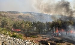 Kocaeli Büyükşehir Belediyesi'nden Bursa’daki yangına tam destek