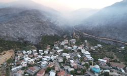 Türkiye'nin ciğerleri yandı: Çamla bezeli ormanlık alandan geriye kül yığınları kaldı