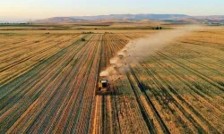 Çiftçilere yaklaşık 345 milyon lira tarımsal destek ödemesi yapılacak