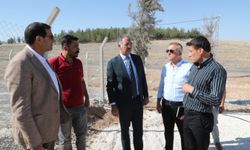 Eyyübiye’de Hayvan Bakımevi hizmete giriyor