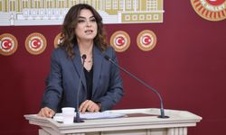 DEM Parti Grup Başkanvekili ve Kars Milletvekili Gülüstan Kılıç Koçyiğit, TBMM'ye yazılı soru önergeleri sundu