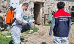 Kars'ta İlçe Tarım ve Orman Müdürlüğü ekipleri sahada: Yayıklı Köyü'nde dezenfeksiyon ve kontrol çalışması