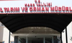 Kars Tarım ve Orman Müdürlüğü'nden şap açıklaması