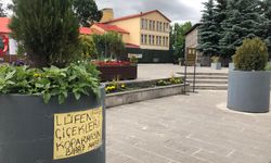 Duyarlı esnaftan anlamlı uyarı: “Koparan öküzdür, Lütfen çiçekleri koparmayın! biraz anlayış”