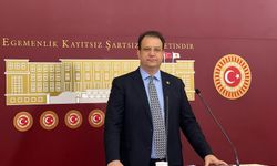 CHP Milletvekili İnan Akgün Alp: "Kars’ta ilaç karaborsaya düştü"
