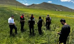 Kars Tarım ve Orman İl Müdürü Enver Aydın, dolu zararını yerinde inceledi