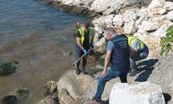 Yalova Belediyesi’ne denize atık su deşarjından ceza