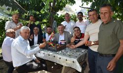 Eğirdir‘de topraksız toprakla çilek hasadı başladı