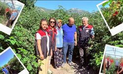 Isparta’da serada ahududu yetiştiriciliği denemesi yapıldı