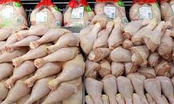 Mayıs ayında tavuk eti üretiminde artış, yumurta üretiminde düşüş yaşandı