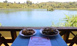Ordu Büyükşehir gastronomi ile ün kazanıyor