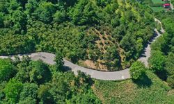 Ünye Yeniköy'de yol sevinci