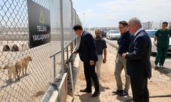 Konya Karatay'dan örnek tesis