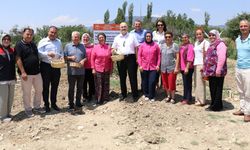 Isparta'da 78 mlyonluk tarımsal hibe desteği