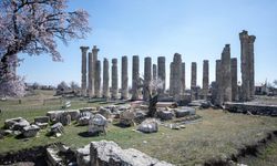 Uzuncaburç Antik Kenti'nde 1600 Yıllık Terazi takımı ve ağırlıklar gün yüzüne çıkarıldı