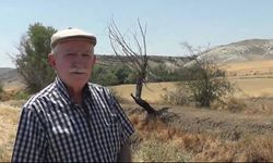 Sivrihisar’da 80 yıllık arazi davasında hasat krizi: Malımıza göz göre göre el konuldu