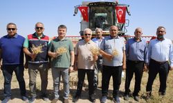 Boş araziler üretime kazandırıldı