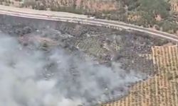 Muğla'da antik kenti yakınlarında yangın: Havadan ve karadan müdahale sürüyor