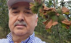Giresun Milletvekili Ali Temür: Fındık emanet vermeyin
