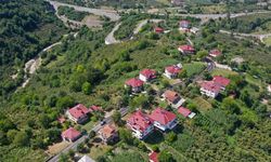 Ordu'da asfalt seferberliği devam ediyor