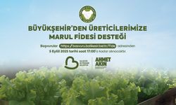 Balıkesir Büyükşehirden çiftçilere marul fidesi desteği