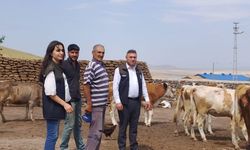Ziraat Odası Başkanı Özcan Müçük, çiftçilerin sorunlarını yerinde dinliyor