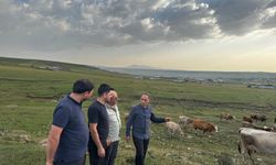 Hayvancılık yetkilileri Kars’ta incelemelerde bulundu